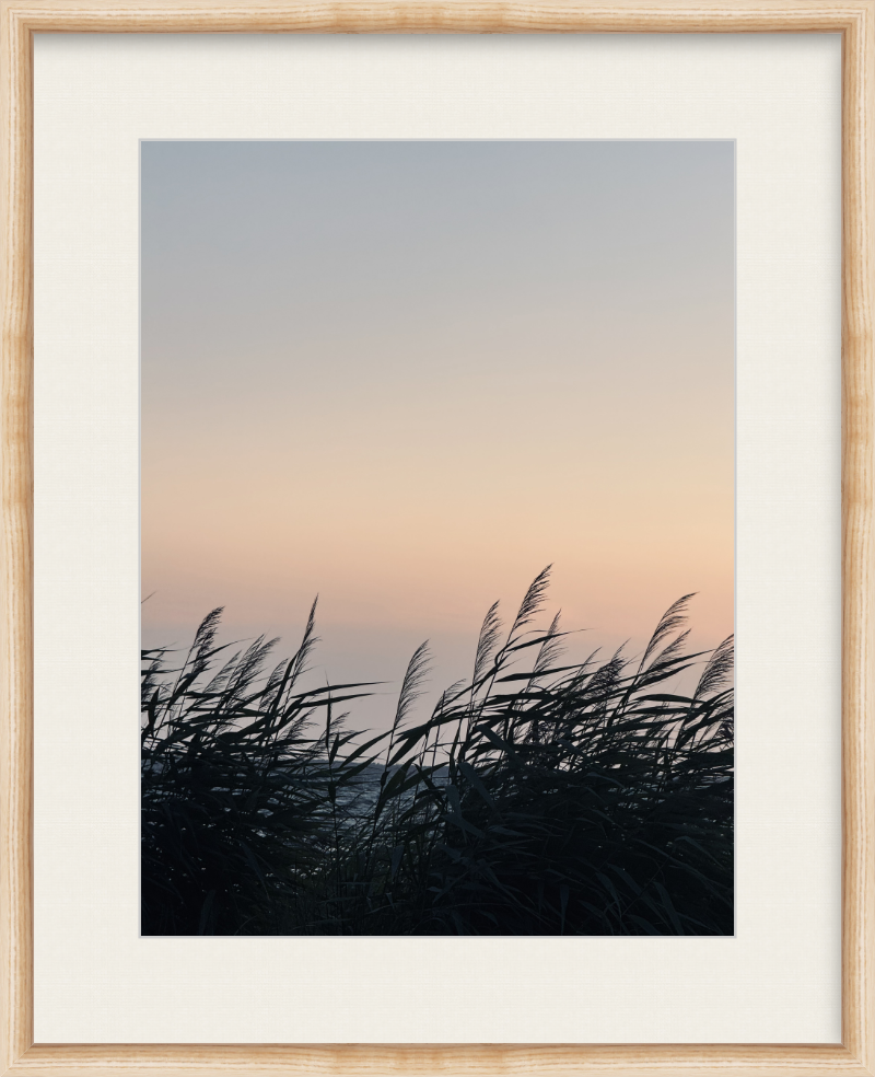 Outerbanks